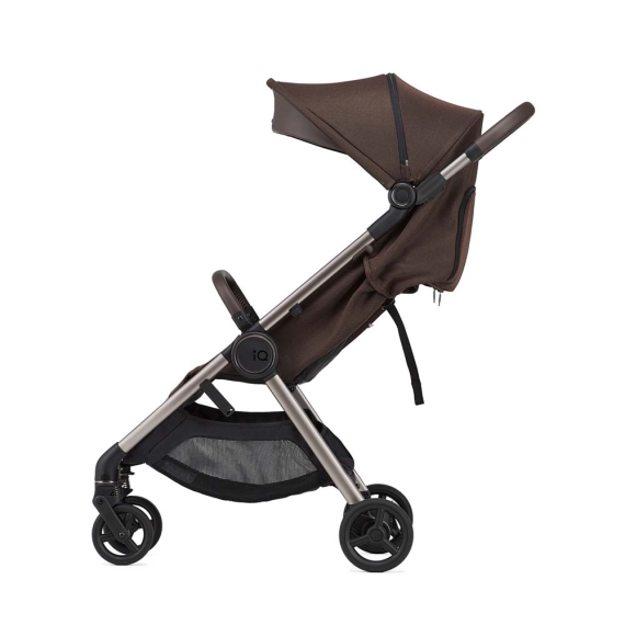 Універсальна коляска 2 в 1 Anex IQ new (Teddy)