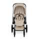 Прогулянкова коляска Cybex Priam Style