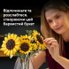 Конструктор LEGO Botanicals Букет соняшників, 686 Деталей