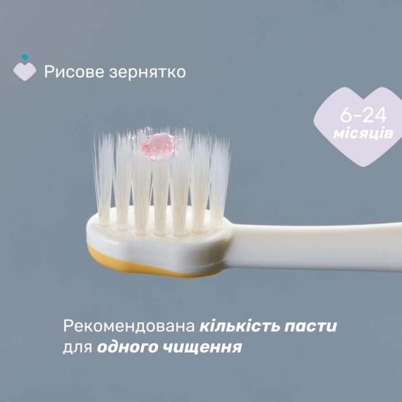 Зубная щетка для первых зубов Chicco, 6-36 мес., 2 шт (желтая / розовая)