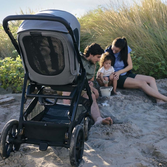Модульна система 4 в 1 Inglesina Aptica XT Darwin Infant Recline (Canyon Grey)