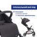 Прогулочная коляска Chicco Goody XPlus (колір 31)