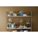 Конструктор LEGO Botanicals Соняшники, 191 деталь