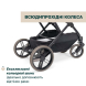 Прогулянкова коляска Chicco Dolomiti Stroller (колір 12)