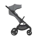 Універсальна коляска 2 в 1 Anex IQ (Loft)