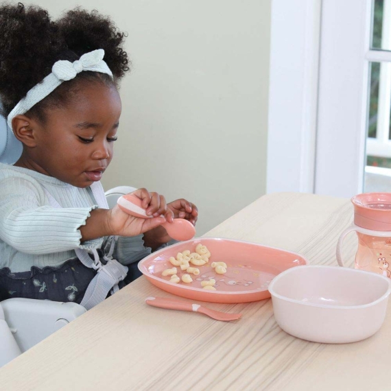 Набір тарілок Chicco Dish Set, 12 м+ (колір 15)