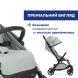 Прогулочная коляска Chicco Goody XPlus (колір 76)