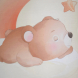 Кокон-гнездышко Baby Veres Bear