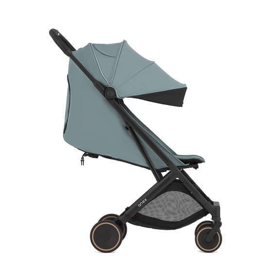 Прогулянкова коляска Anex Air-X2 (Sky)