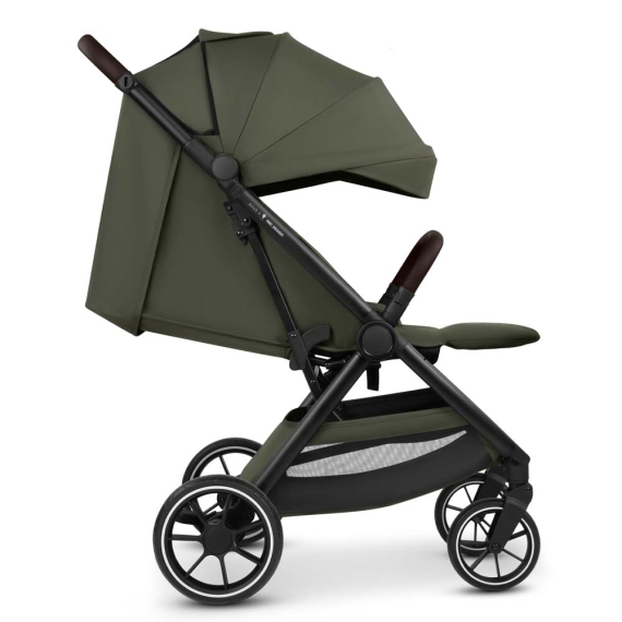 Прогулянкова коляска ABC Design Avus 3 (Pea)