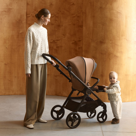 Універсальна коляска 2 в 1 Anex IQ (Basic / Sienna)