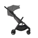 Універсальна коляска 2 в 1 Anex IQ (Lune)