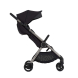 Універсальна коляска 2 в 1 Anex IQ (Darke)