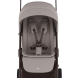 Прогулянкова коляска Anex Ride (Chrome)