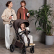Прогулянкова коляска CARRELLO Bravo Lite CRL-5529 (Derby Brown)