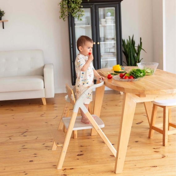 Стілець для годування CARRELLO Ergo CRL-16701 (Night Grey)