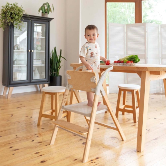 Стілець для годування CARRELLO Ergo CRL-16701 (Night Grey)