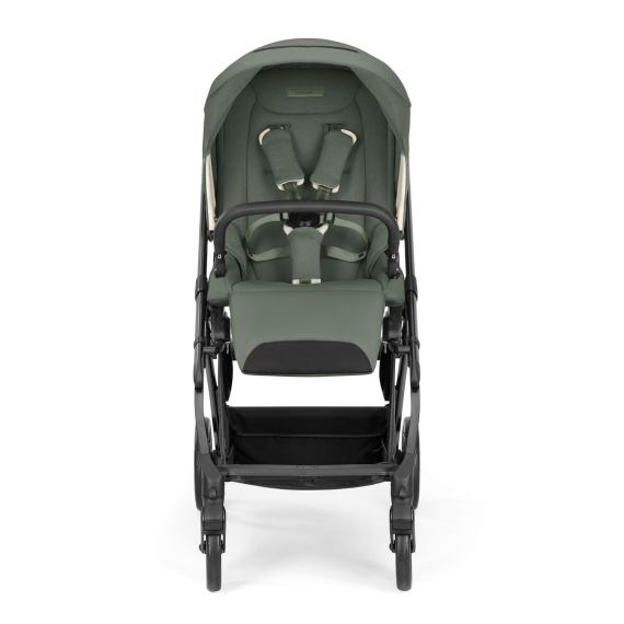 Модульна система 4 в 1 Inglesina Electa Darwin Infant Recline (Union Grey)