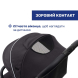 Прогулочная коляска Chicco Goody XPlus (колір 31)