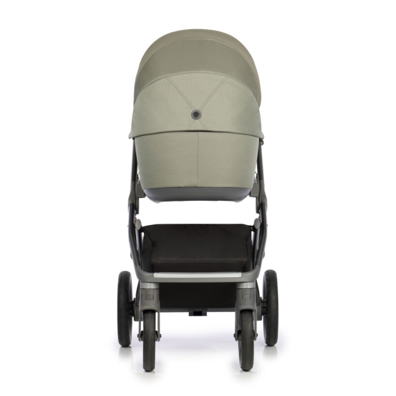 Універсальна коляска 2 в 1 Roan Bass Next (Misty mood)