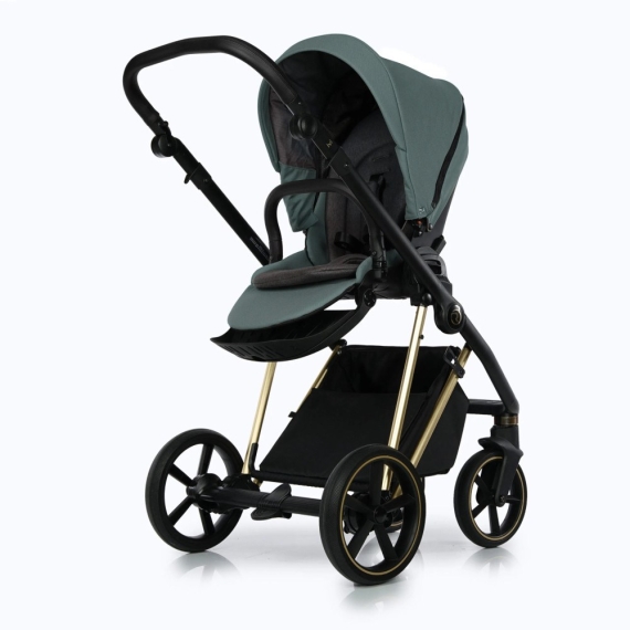 Універсальна коляска 2 в 1 Roan Ivi (Pine Green )