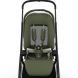 Прогулянкова коляска Redsbaby AERON (Ivy)