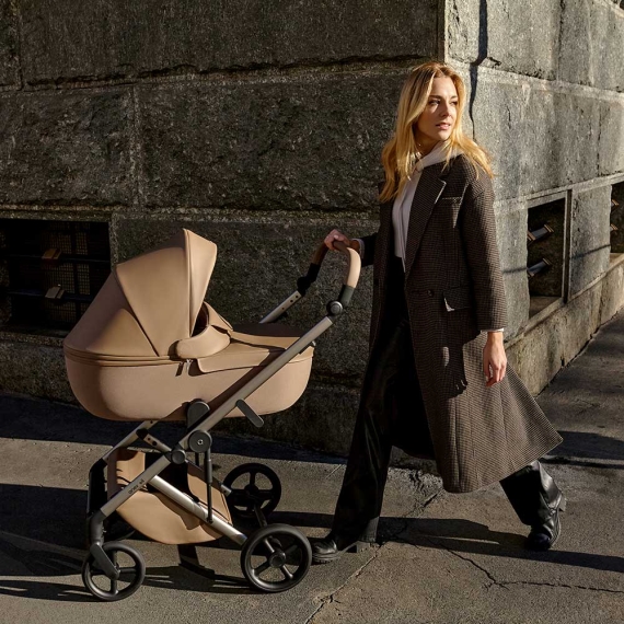 Універсальна коляска 2 в 1 Anex Eli (Secret)