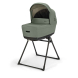 Модульна система 4 в 1 Inglesina Electa Darwin Infant Recline (Murray Green)
