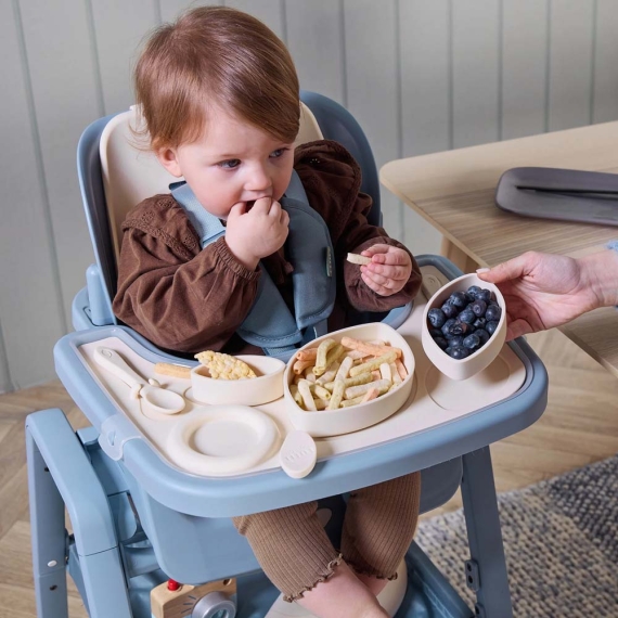 Набір аксесуарів для стільчика Tutti Bambini Nova (Rusk)