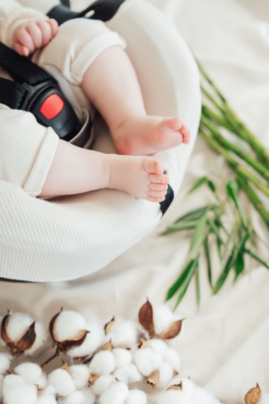 Літній чохол Britax Römer Baby-Safe Pro family 2025