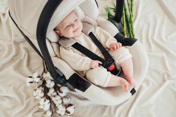 Літній чохол Britax Römer Baby-Safe Pro family 2025