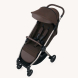 Універсальна коляска 2 в 1 Anex IQ new (Teddy)
