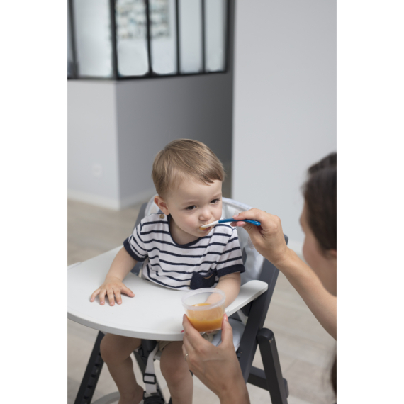 Набір контейнерів для їжі Babybols 250ml, 6 од.