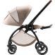 Прогулянкова коляска Britax Römer RIO (Style / Teak)