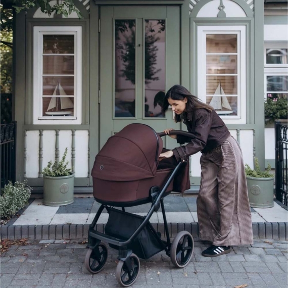 Універсальна коляска 2 в 1 Roan Ivi (Vintage Collection / Sweet Fig)