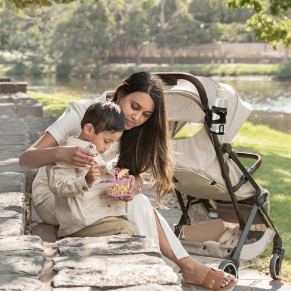 Прогулянкова коляска Britax Römer FLYLITE (Teak)