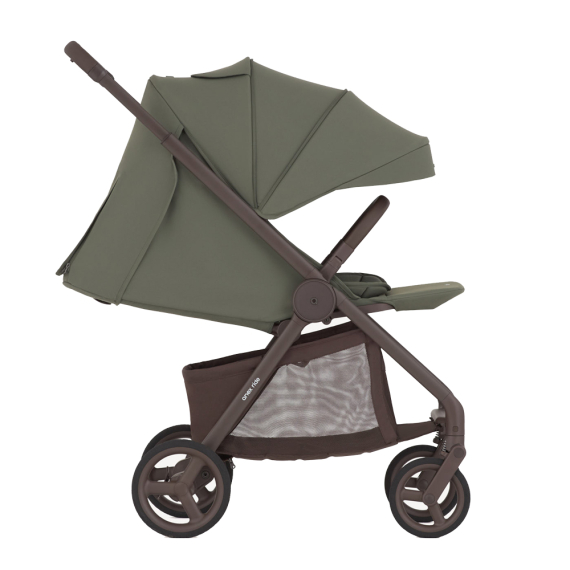 Прогулянкова коляска Anex Ride (Freshy)
