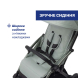 Прогулочная коляска Chicco Goody XPlus (колір 76)