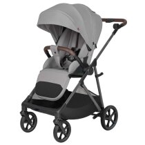 Прогулянкова коляска CARRELLO Costa CRL-5543 (Platinum Grey)