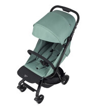Прогулянкова коляска ANEX Air-Z (Ivy)