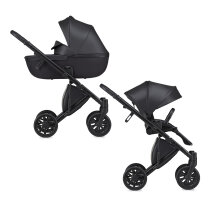 Універсальна коляска 2 в 1 Anex e/type (Swan)