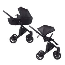 Універсальна коляска 2 в 1 Anex e/type 2021/22 (Noir)