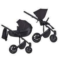 Універсальна коляска 2 в 1 Anex m/type (Argo)
