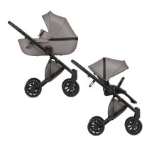 Універсальна коляска 2 в 1 Anex e/type (Luna)