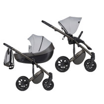 Універсальна коляска 2 в 1 Anex m/type (Mirage)