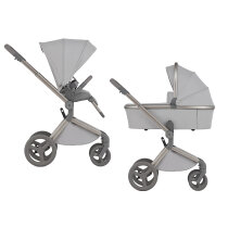 Універсальна коляска 2 в 1 Anex FLO (Frossy)