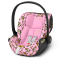 Cherub Pink