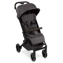 Прогулянкова коляска ABC Design Ping 3 Trekking (Falcon)