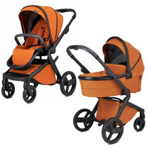 Універсальна коляска 2 в 1 Anex l/type (Ginger)