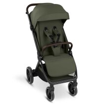 Прогулянкова коляска ABC Design Avus 3 (Pea)